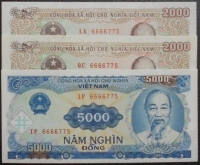 3 tờ trùng số 6666775